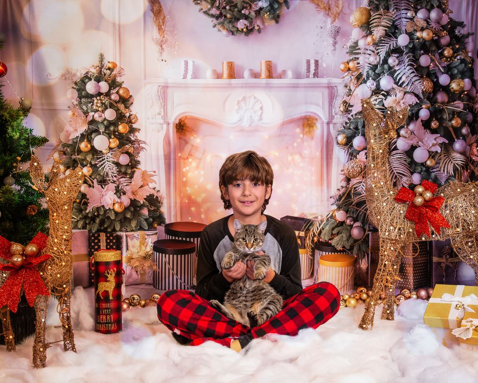 Kate クリスマスツリーの暖炉のギフトの背景