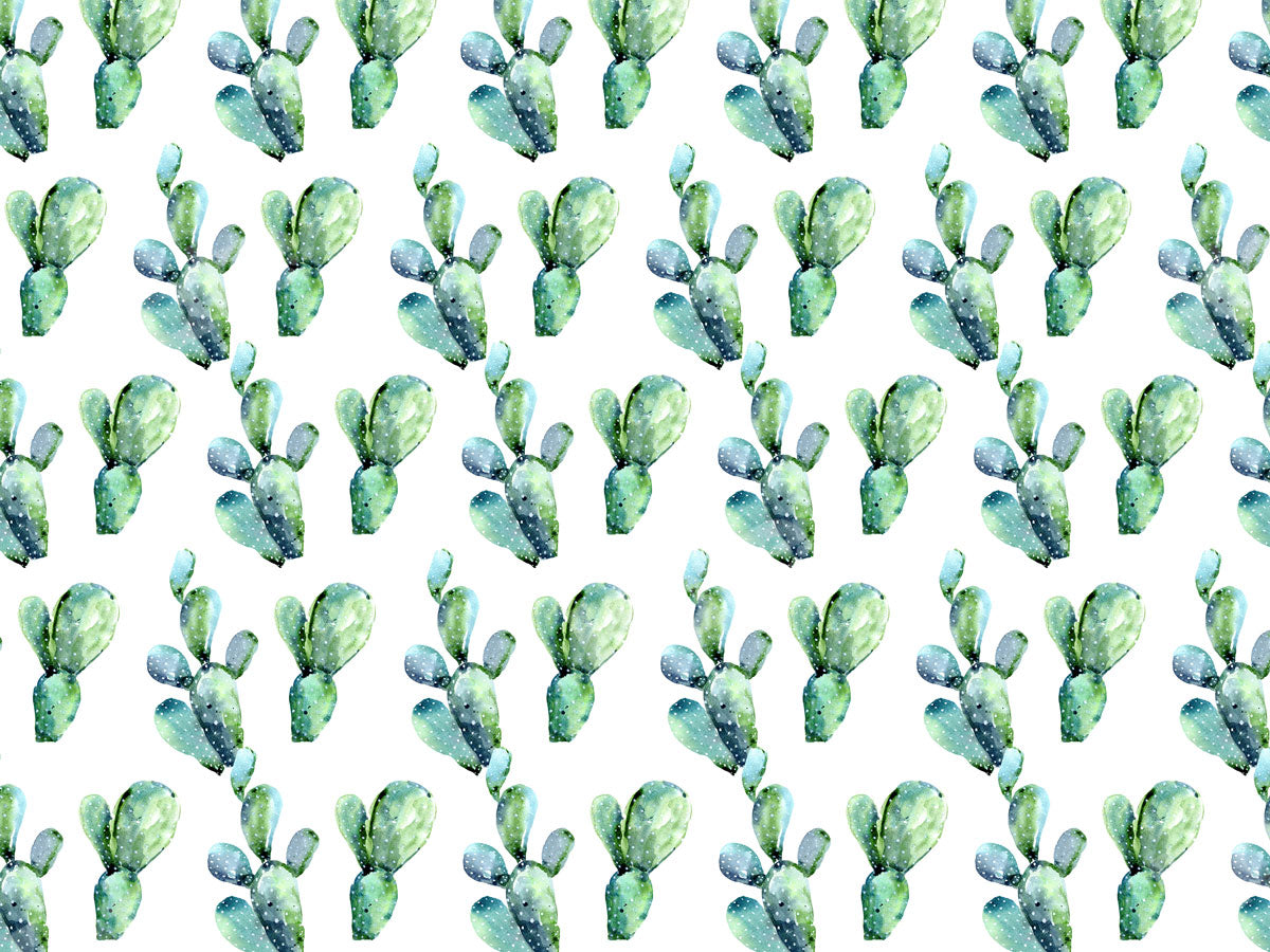 Kate サボテン背景布