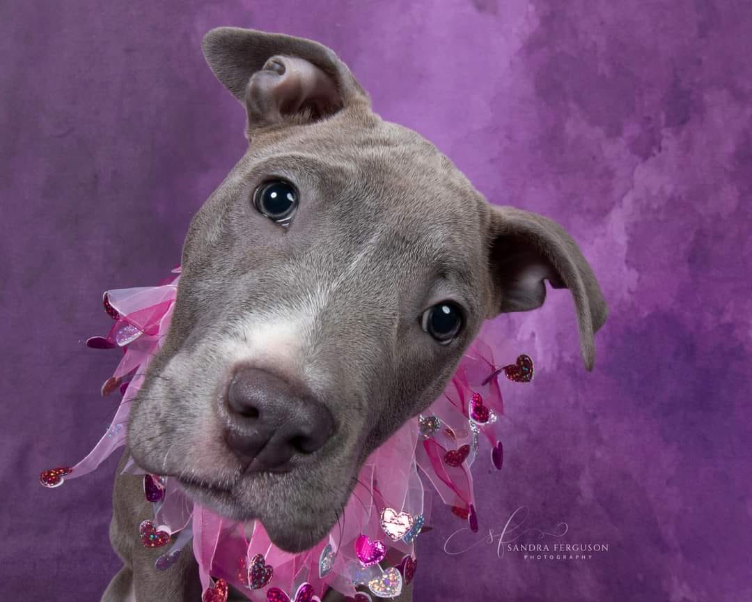 kate暗い紫色の抽象的な織りパターンテクスチャ背景