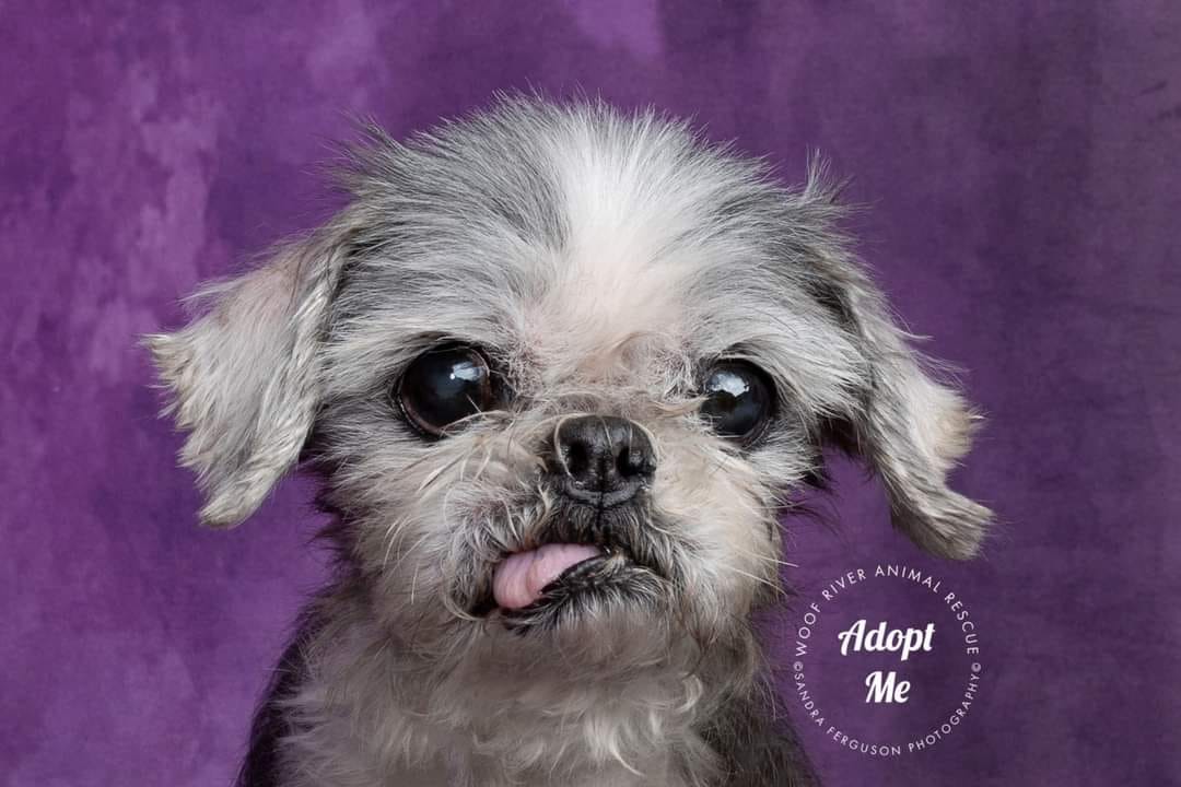 kate暗い紫色の抽象的な織りパターンテクスチャ背景