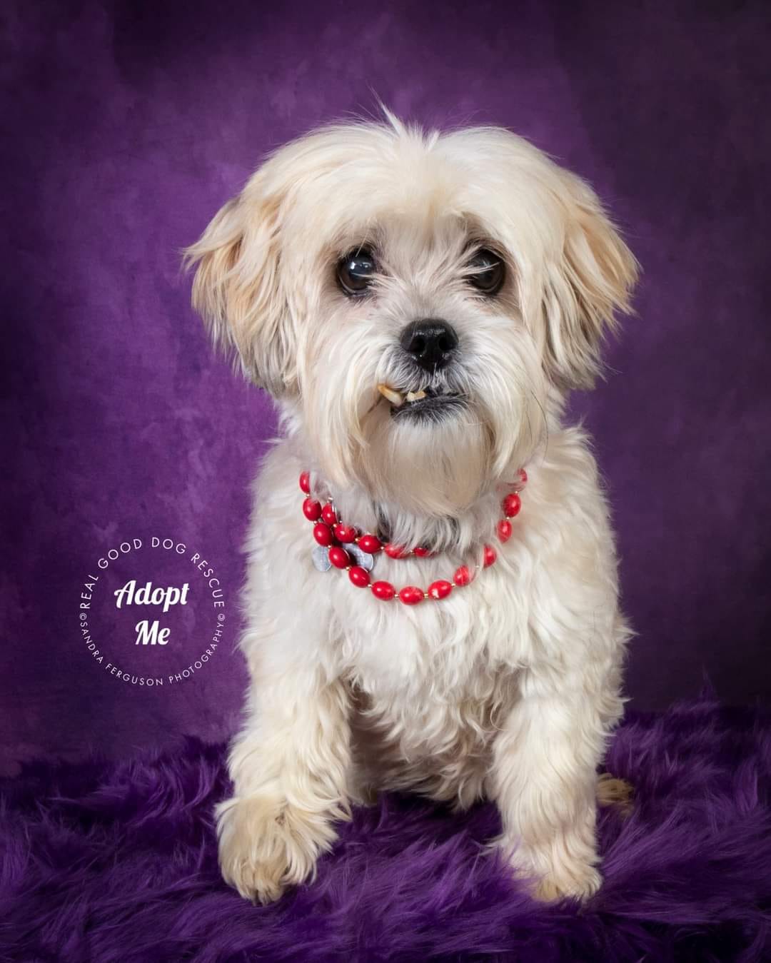 kate暗い紫色の抽象的な織りパターンテクスチャ背景