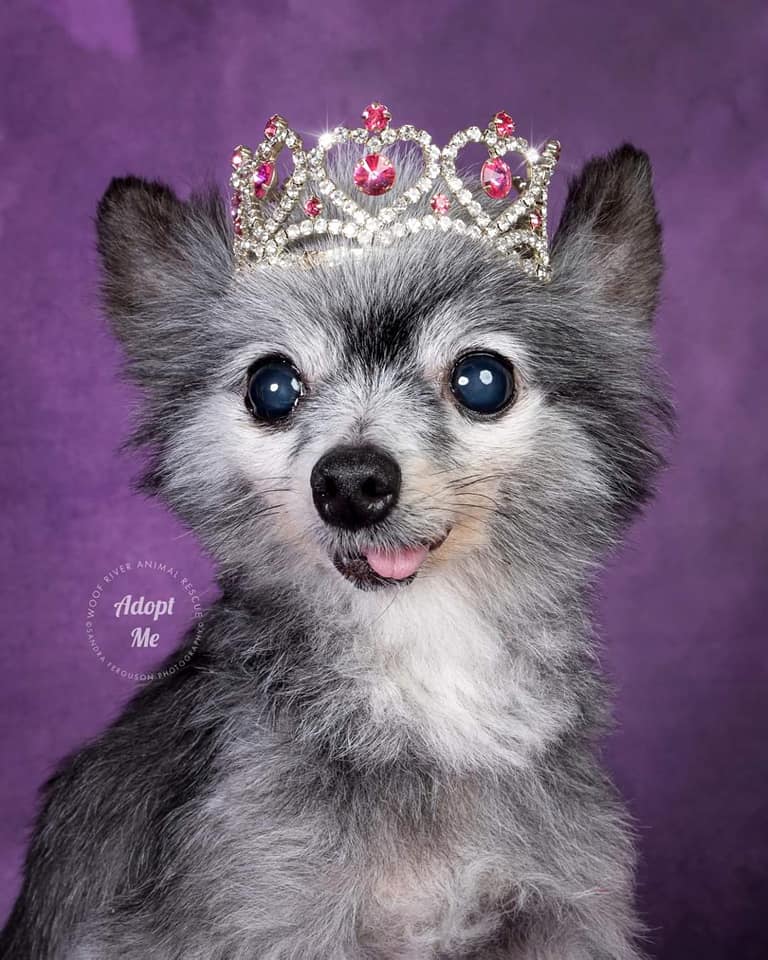 kate暗い紫色の抽象的な織りパターンテクスチャ背景