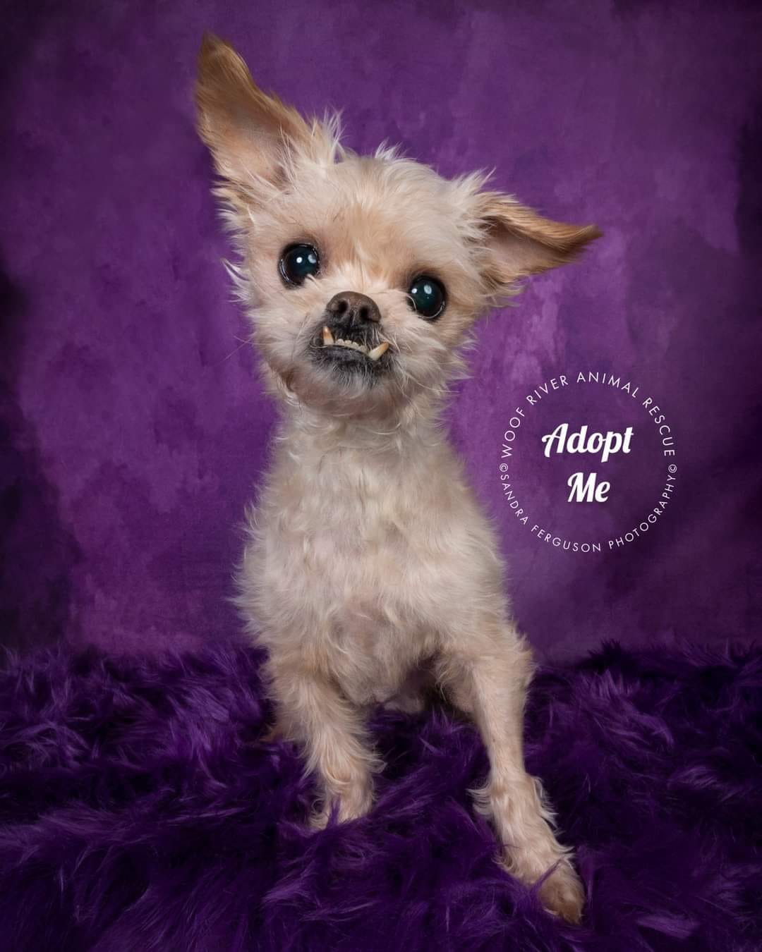 kate暗い紫色の抽象的な織りパターンテクスチャ背景