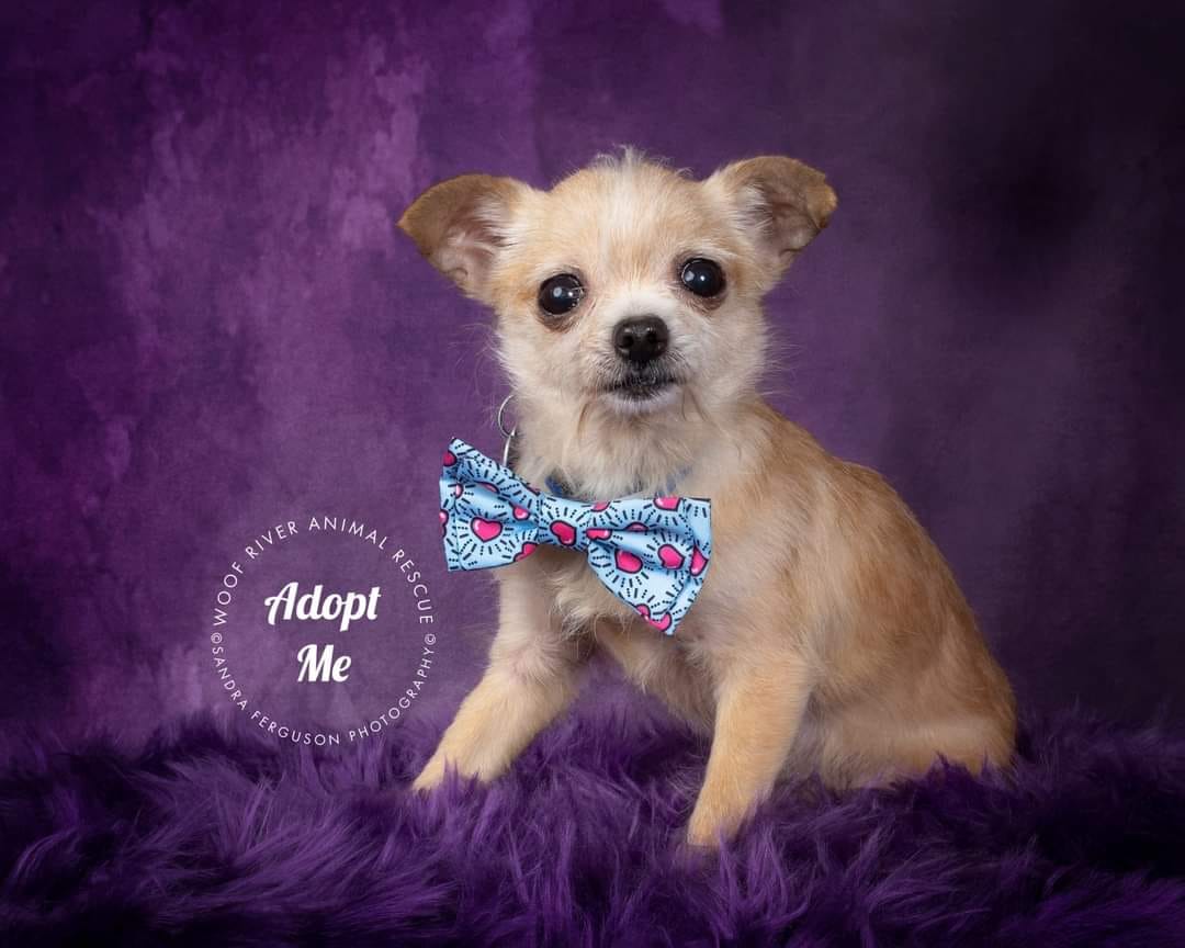 kate暗い紫色の抽象的な織りパターンテクスチャ背景