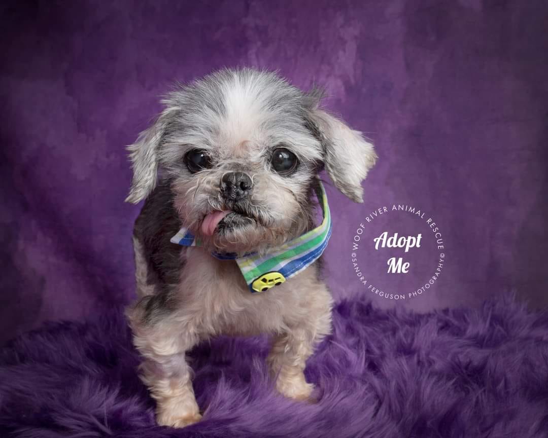 kate暗い紫色の抽象的な織りパターンテクスチャ背景