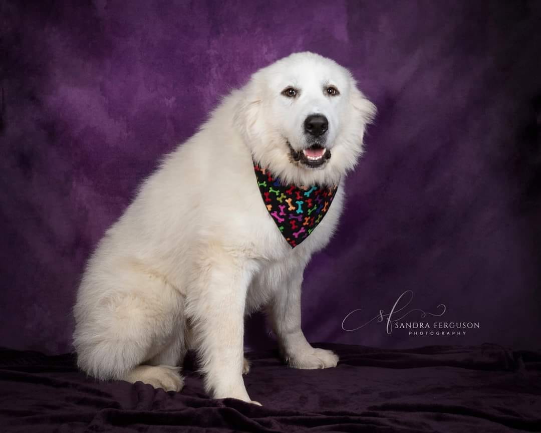 kate暗い紫色の抽象的な織りパターンテクスチャ背景