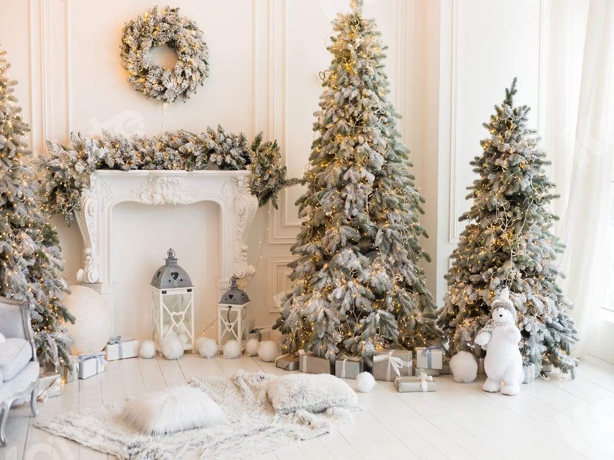 Kate 写真撮影のためのクリスマスのクマの白い背景