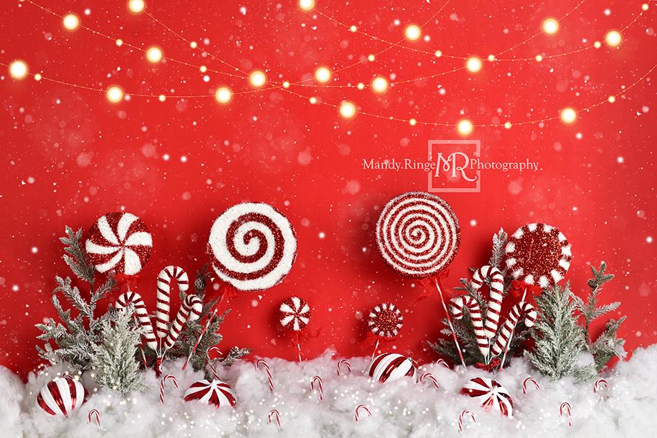 Kate Mandy Ringe Photography クリスマスペパーミントワンダーランドの背景デザイン