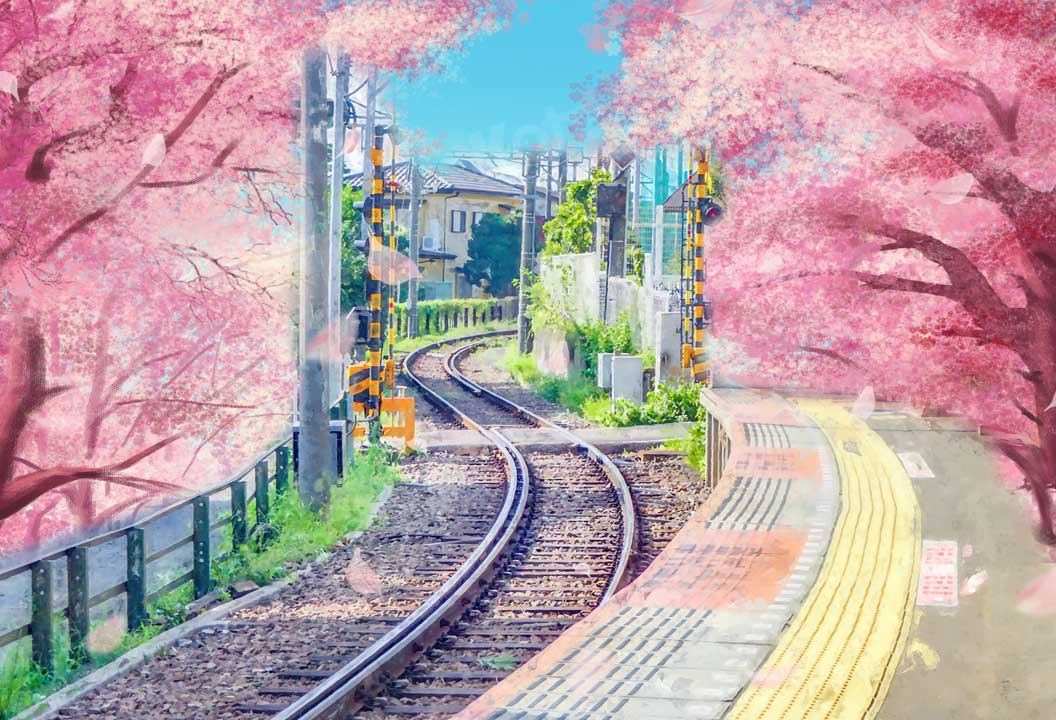 Kateひなまつり春の女の子まつり七五さん鉄道新幹線写真家のための背景布