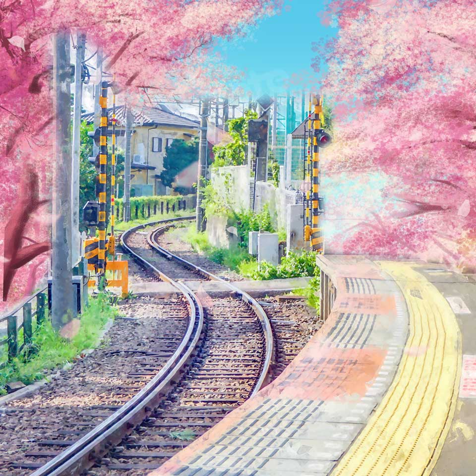 Kateひなまつり春の女の子まつり七五さん鉄道新幹線写真家のための背景布