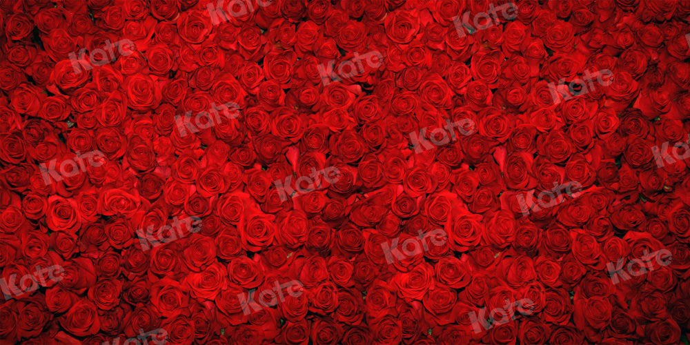 Kate 赤いバラの背景