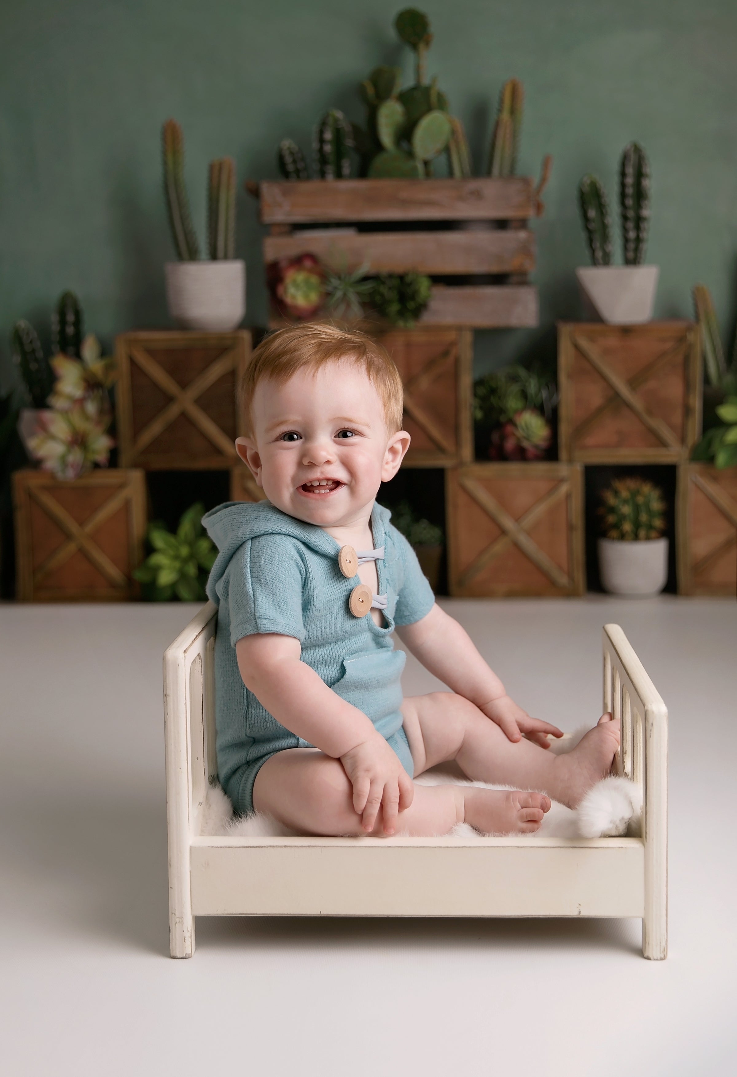 Kate 子供のための木枠を背景にした春のサボテンと多肉植物