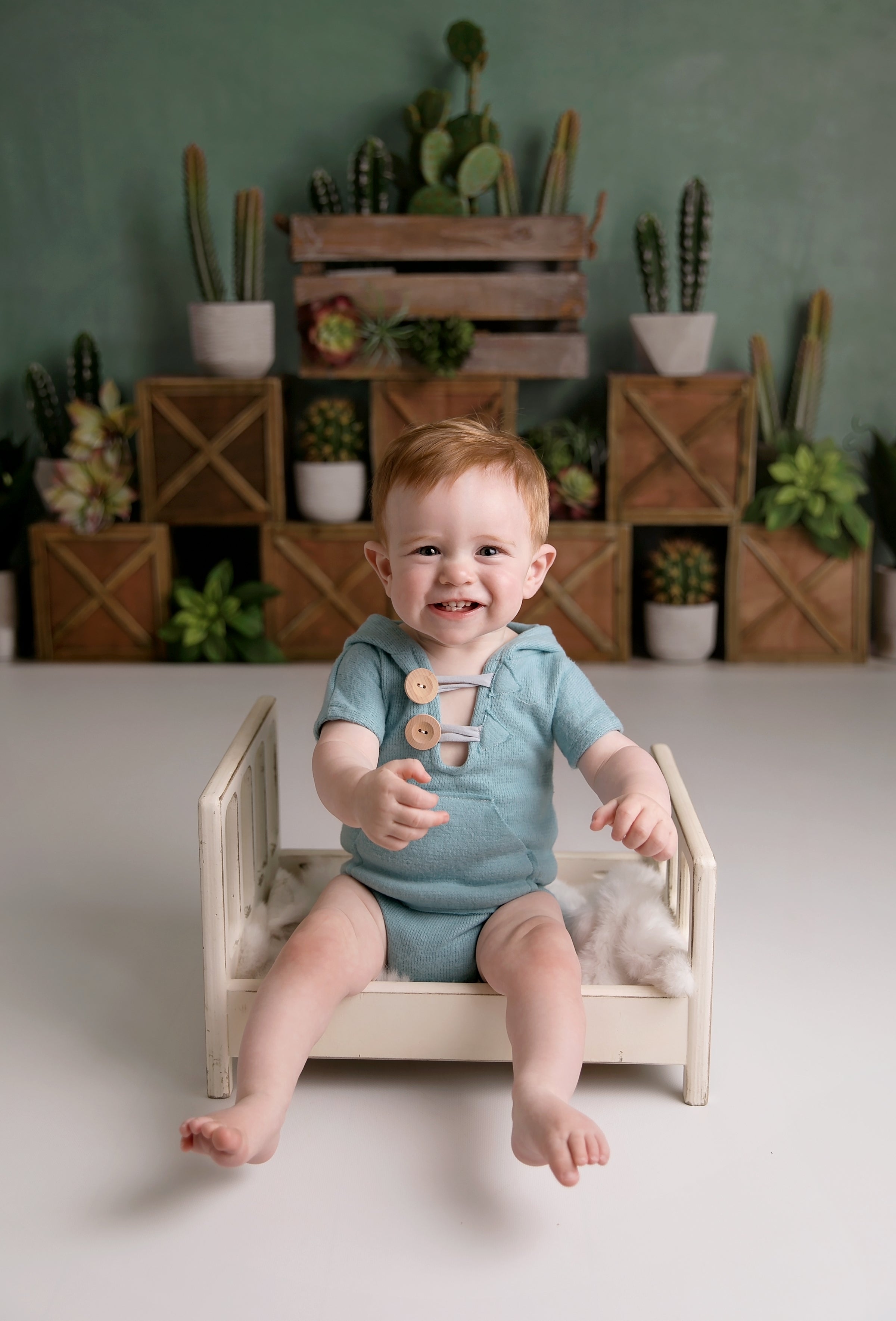 Kate 子供のための木枠を背景にした春のサボテンと多肉植物