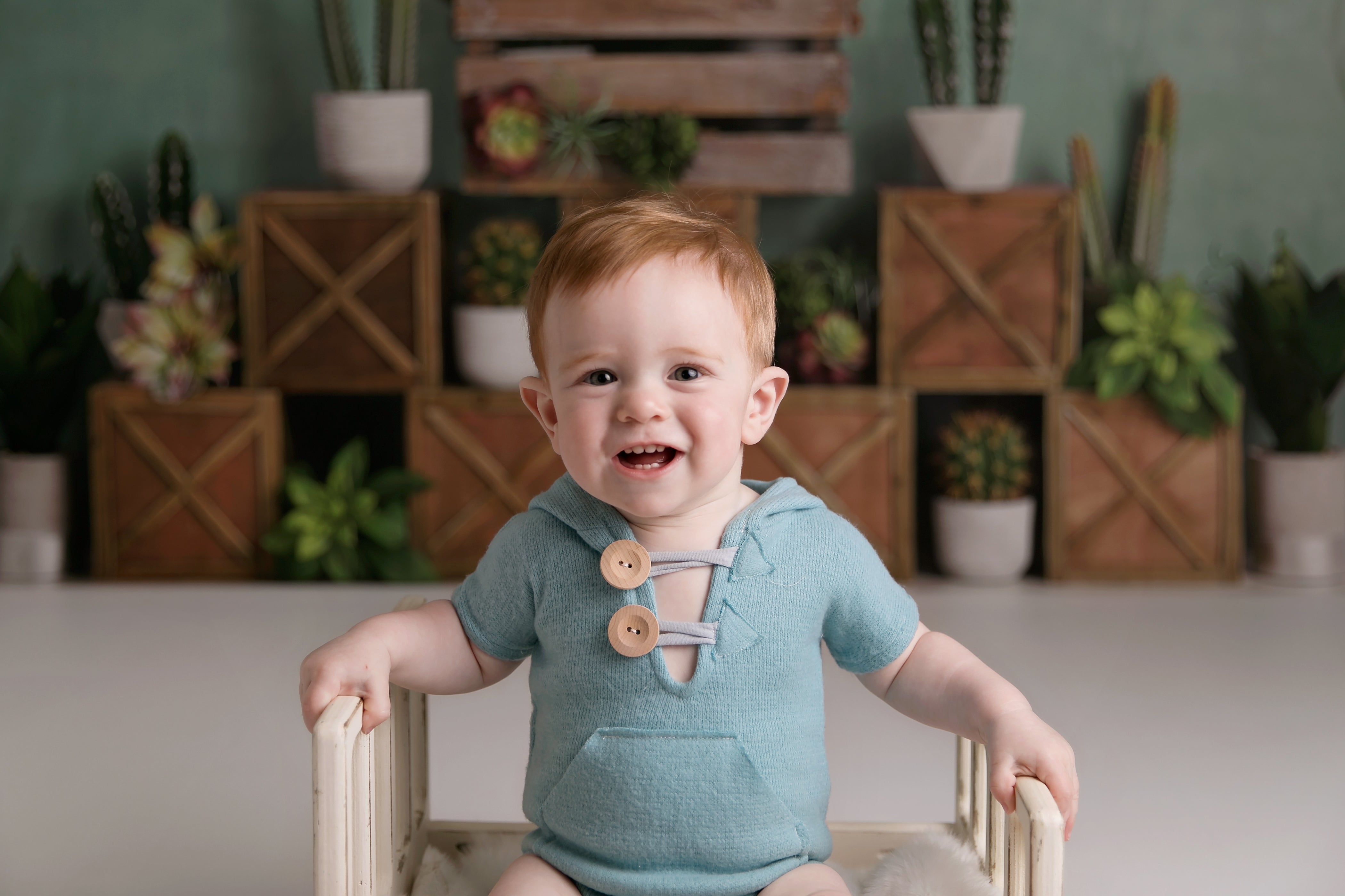 Kate 子供のための木枠を背景にした春のサボテンと多肉植物