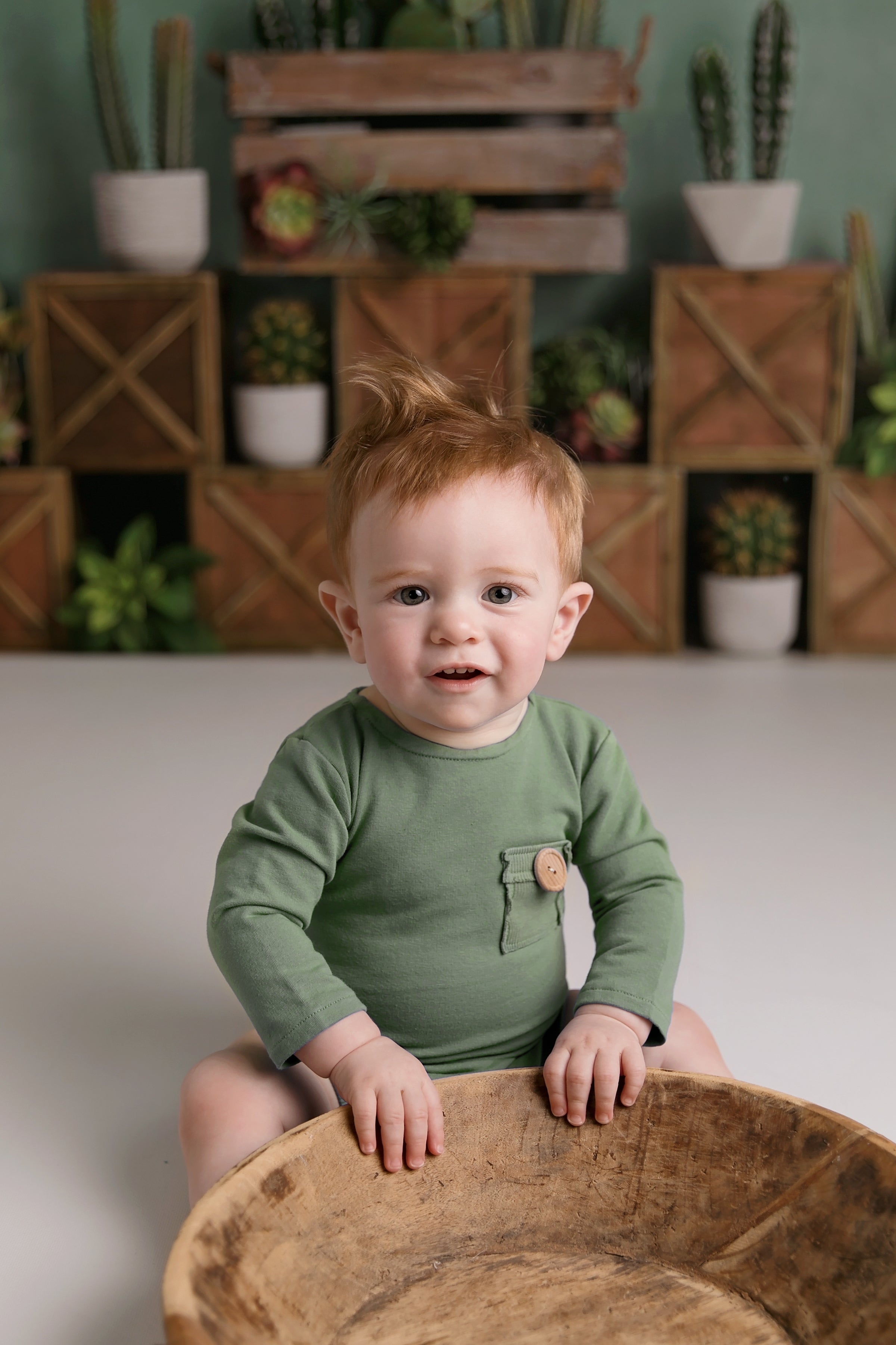 Kate 子供のための木枠を背景にした春のサボテンと多肉植物