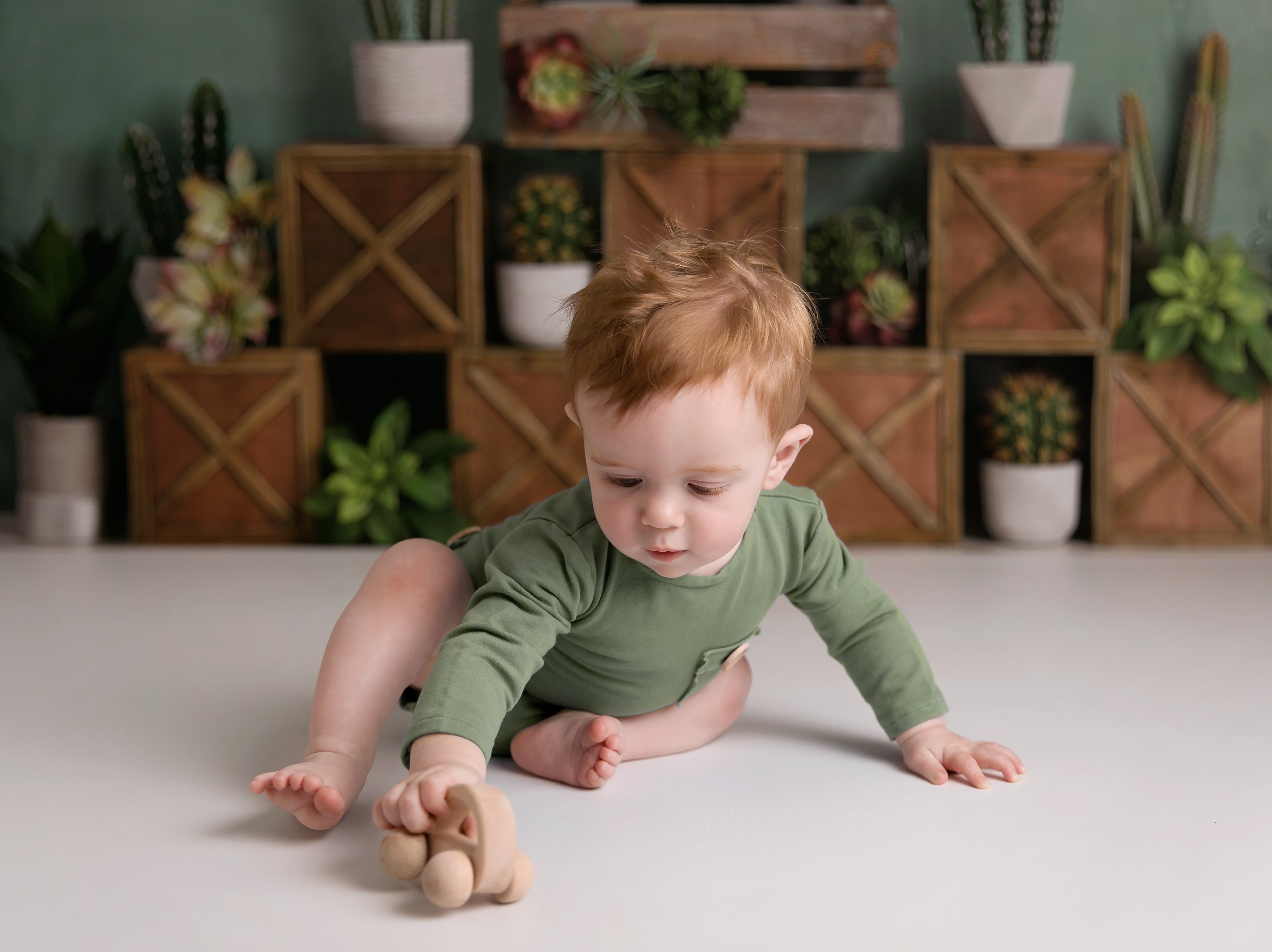 Kate 子供のための木枠を背景にした春のサボテンと多肉植物