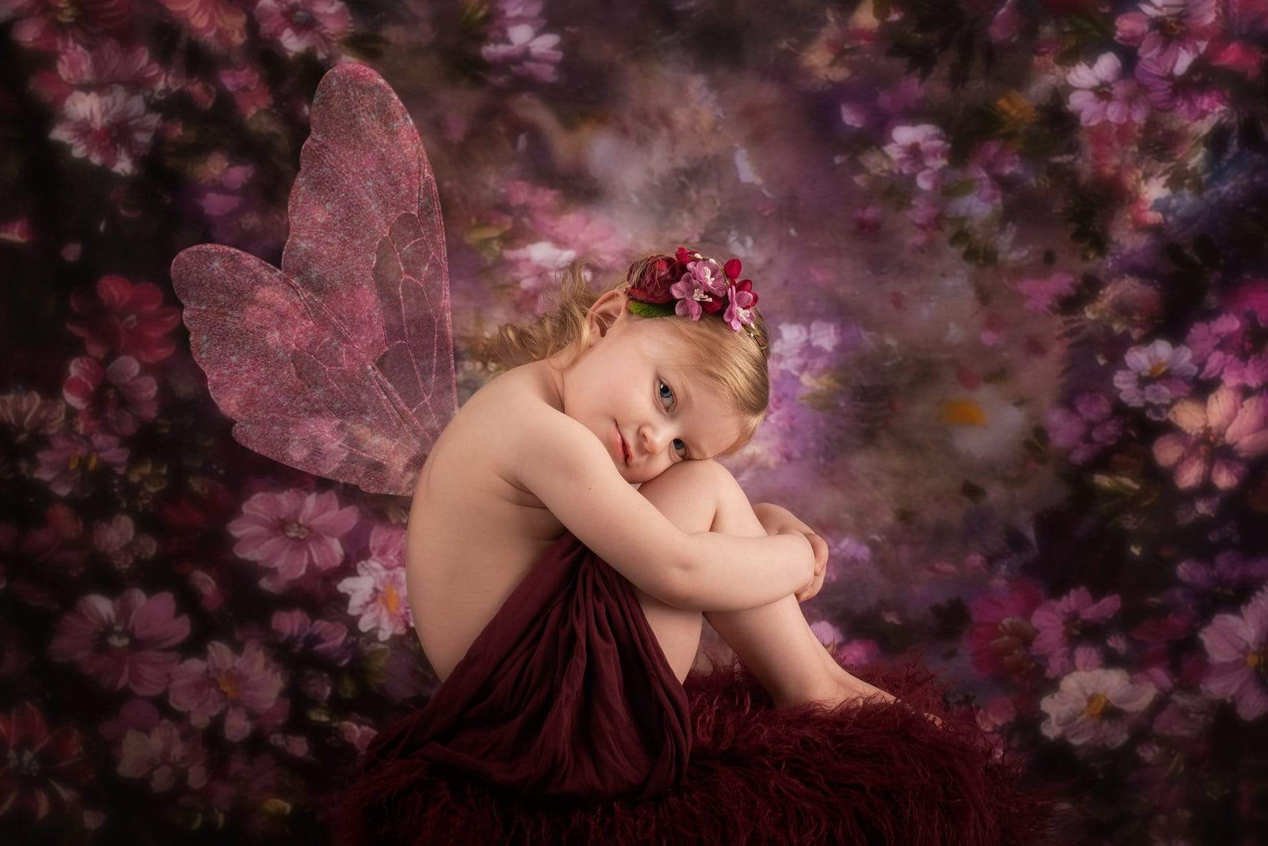 Kate 写真のファンタジー紫花バレンタイン背景