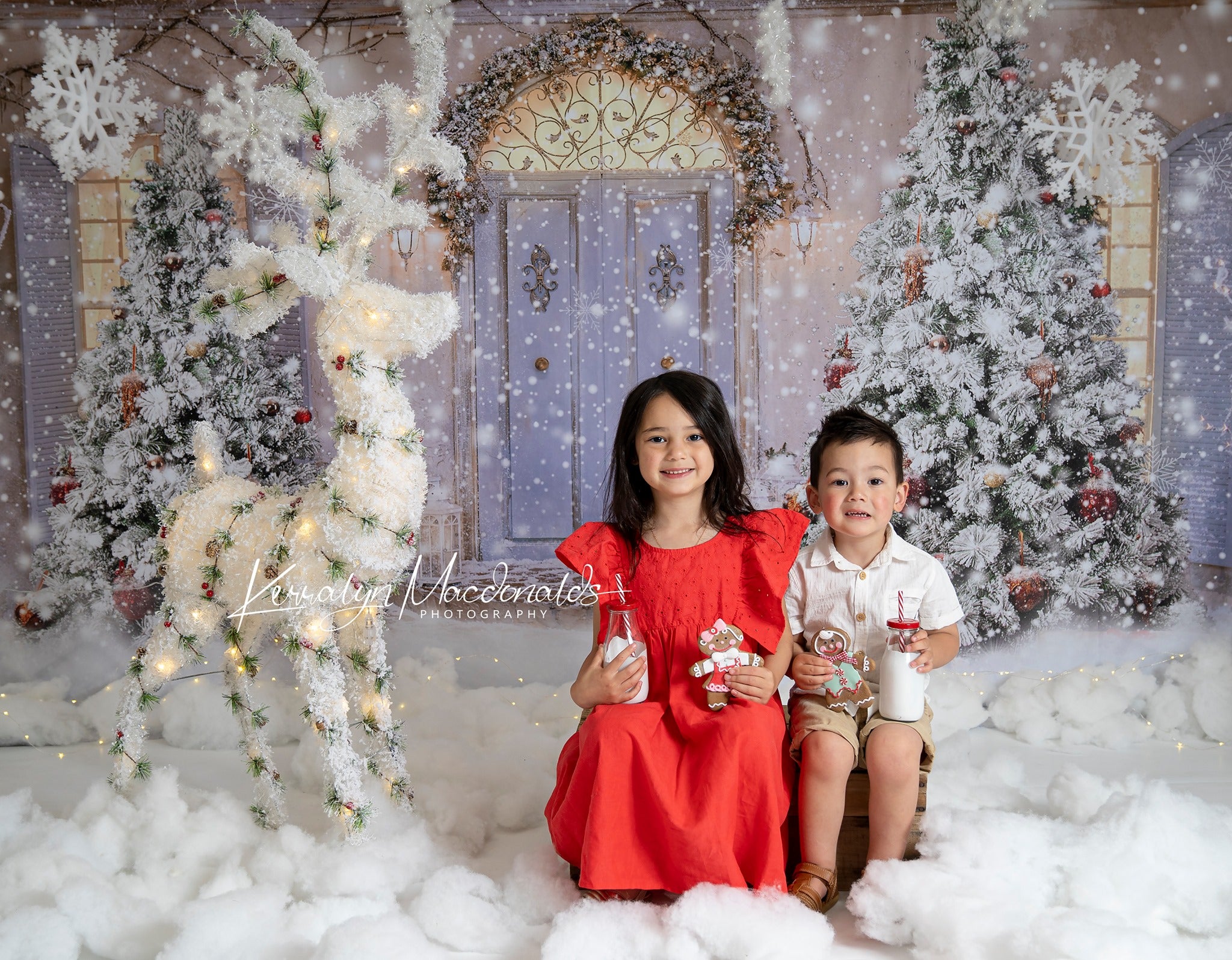 Kate 雪のクリスマスツリーの背景正面玄関