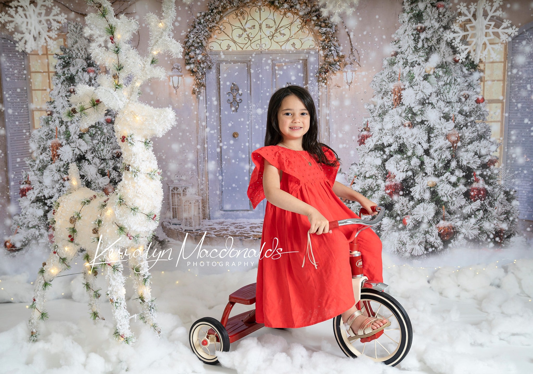 Kate 雪のクリスマスツリーの背景正面玄関