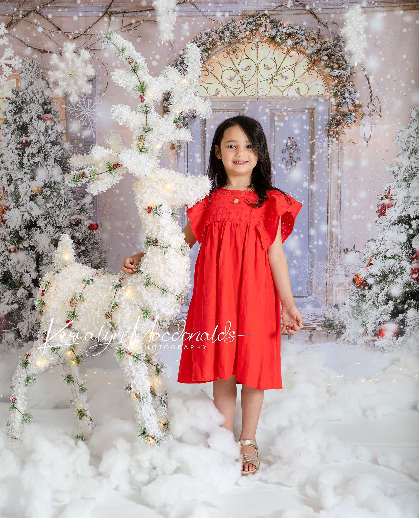 Kate 雪のクリスマスツリーの背景正面玄関