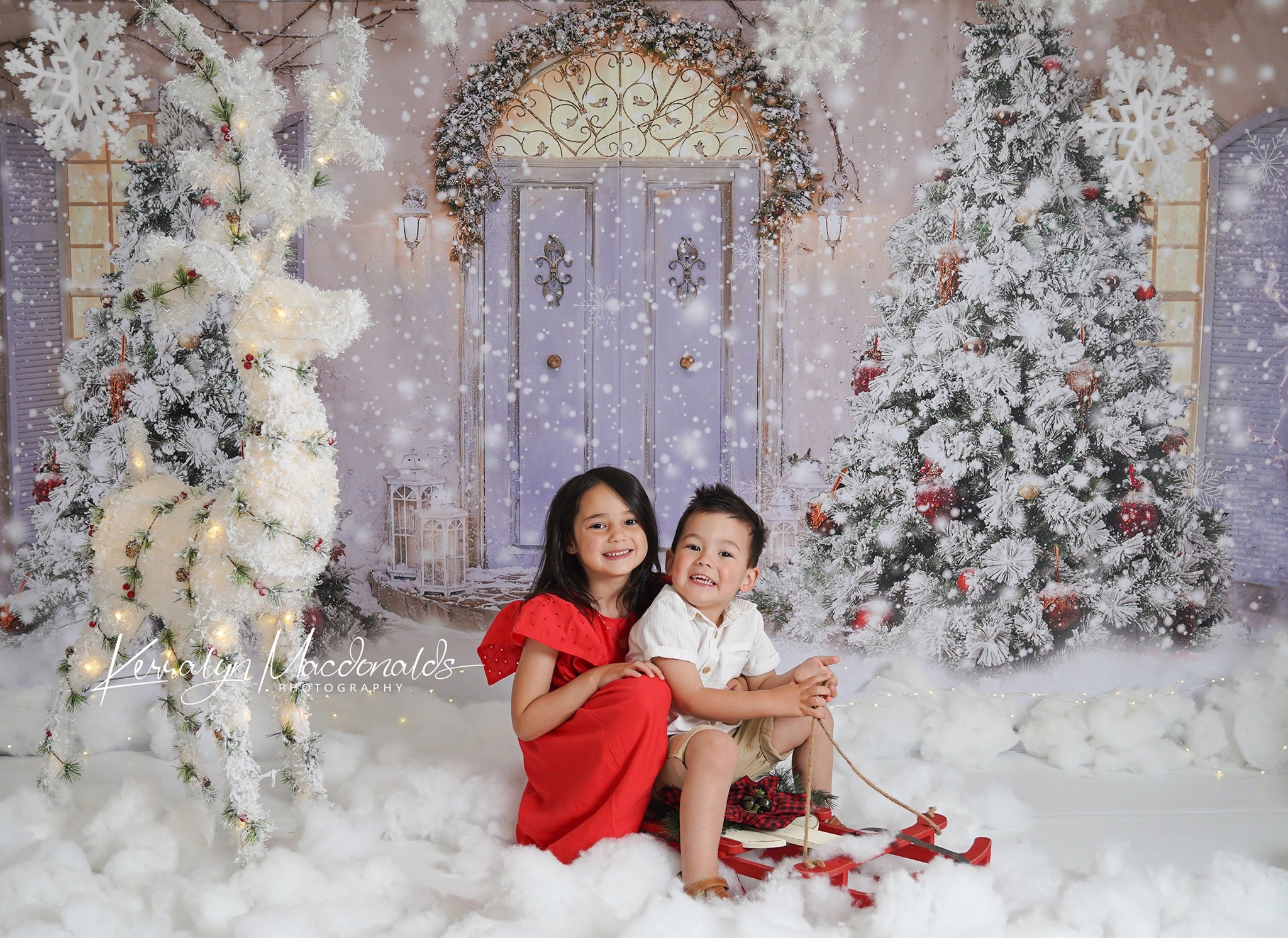 Kate 雪のクリスマスツリーの背景正面玄関