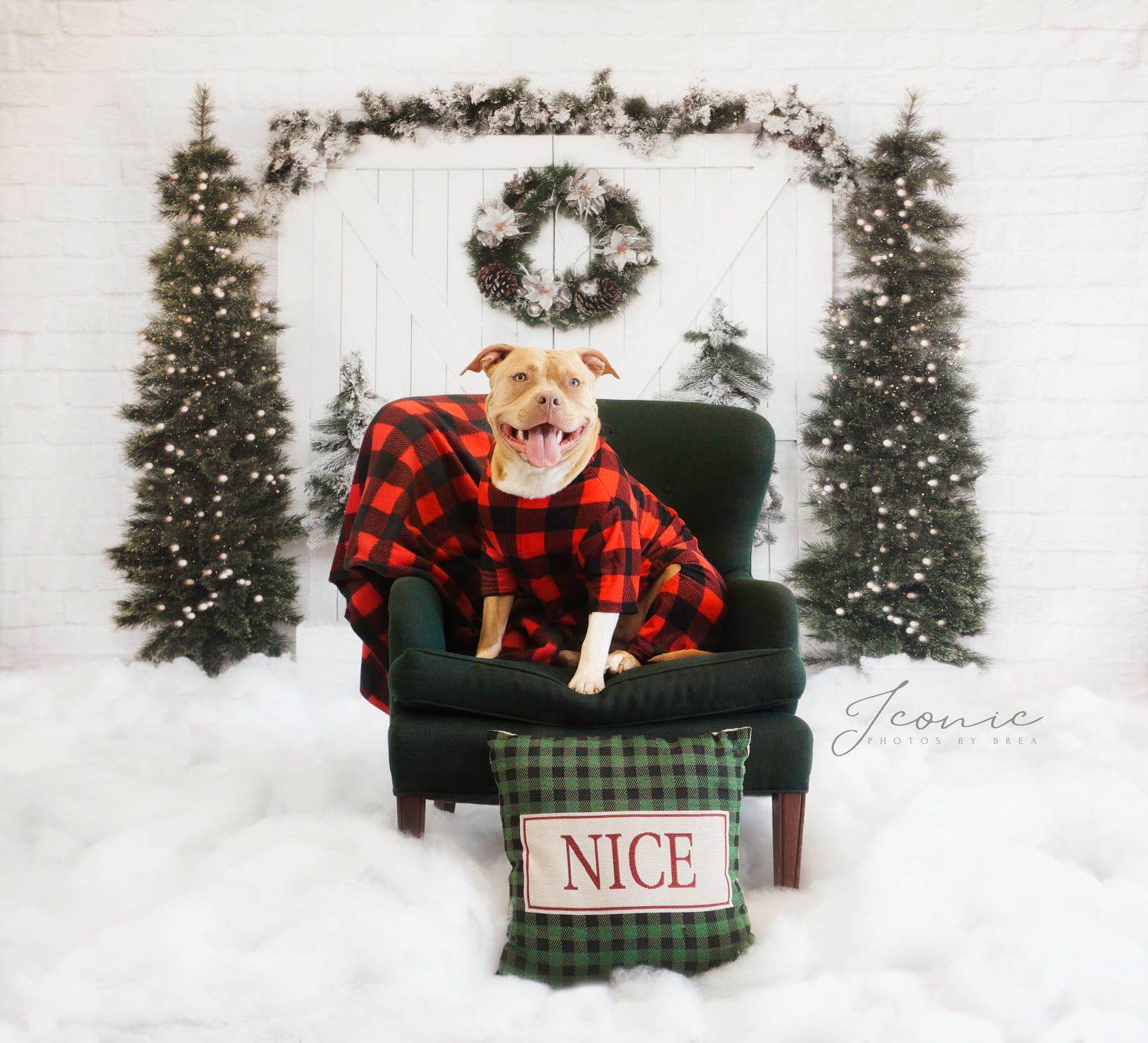 kateクリスマスツリーの背景納屋のドアの雪Emetselchによって設計