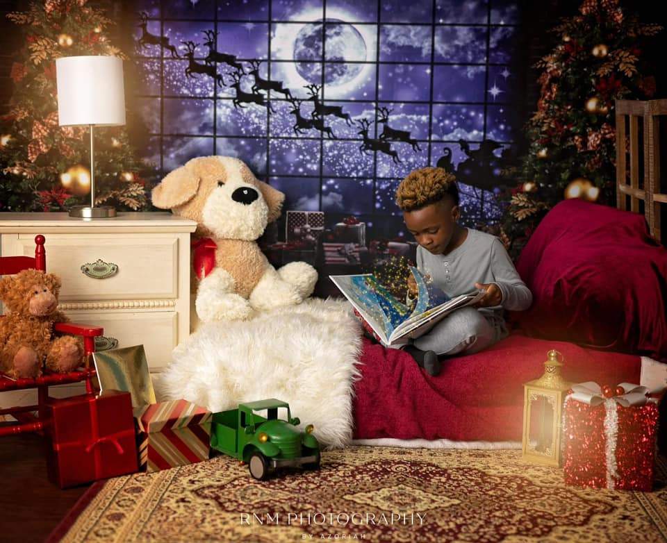 kate写真撮影のためのクリスマスの窓そりの背景エルク