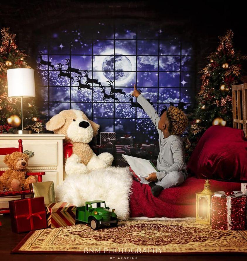 kate写真撮影のためのクリスマスの窓そりの背景エルク
