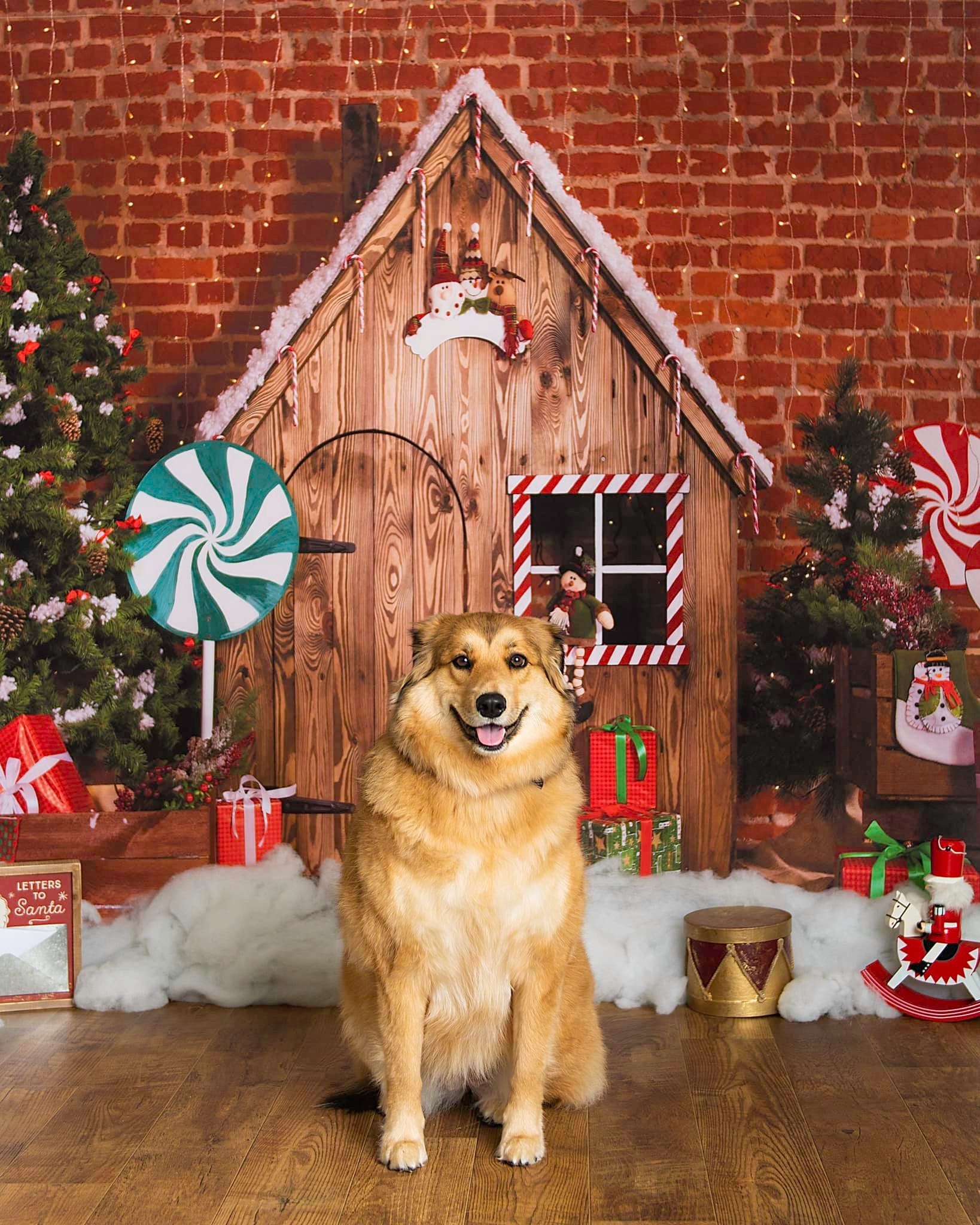 Kate 木製キャビンキャンディクリスマス背景