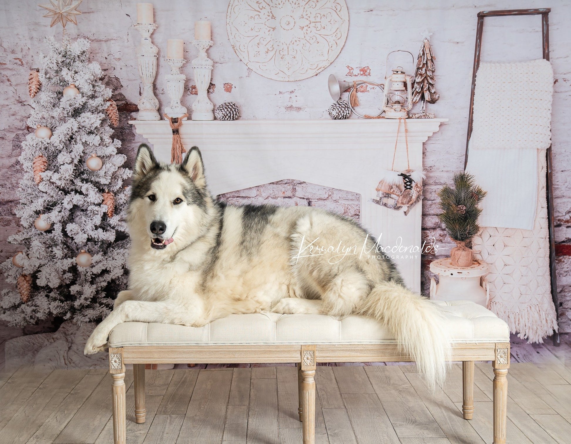 Kate クリスマスの装飾レンガの部屋の背景設計された Pine Park Collection
