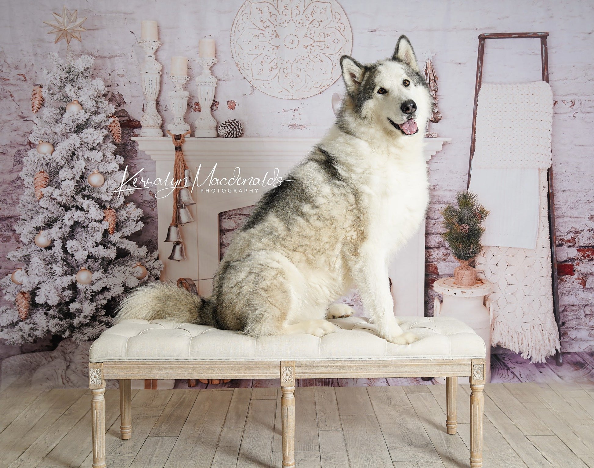 Kate クリスマスの装飾レンガの部屋の背景設計された Pine Park Collection