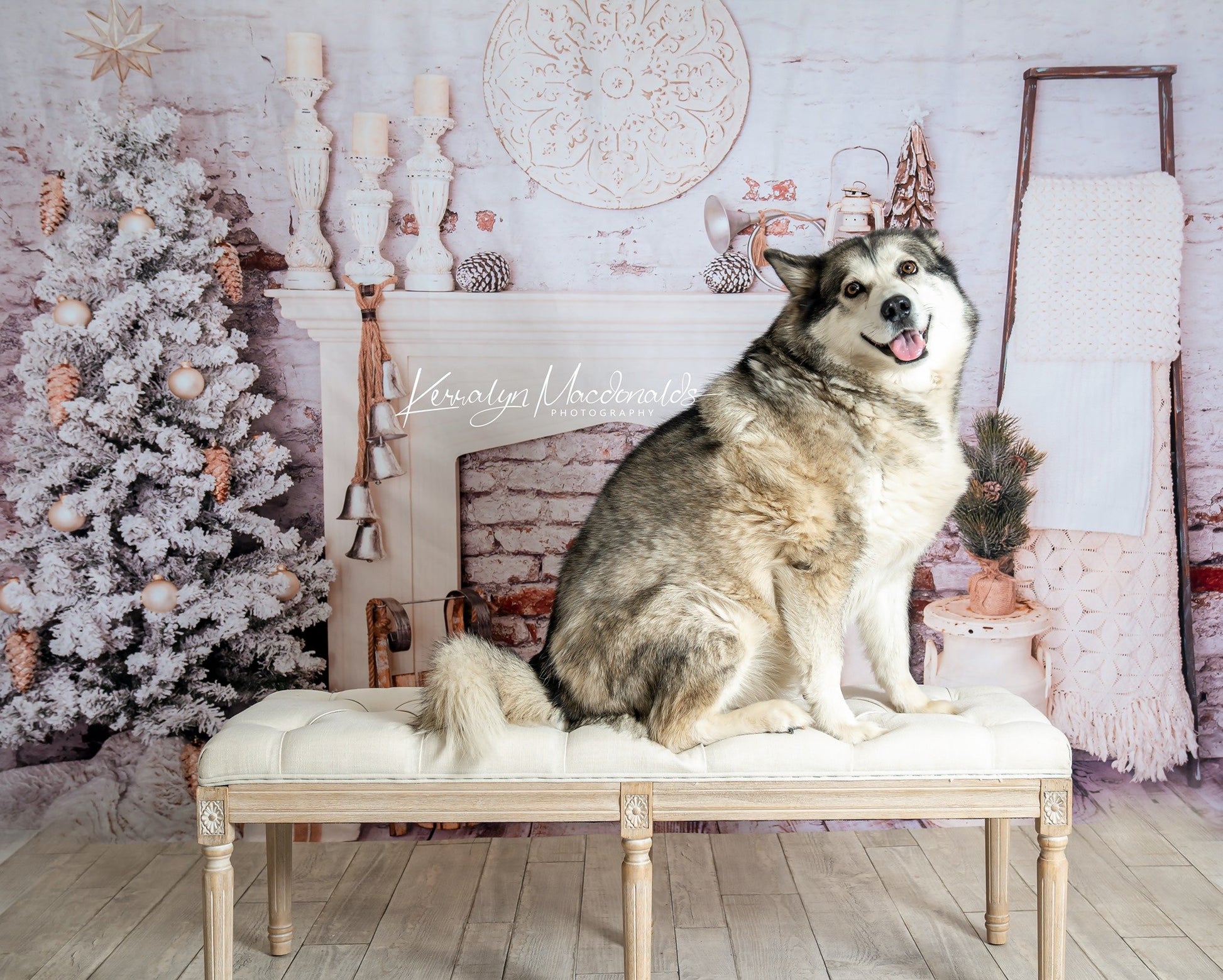 Kate クリスマスの装飾レンガの部屋の背景設計された Pine Park Collection