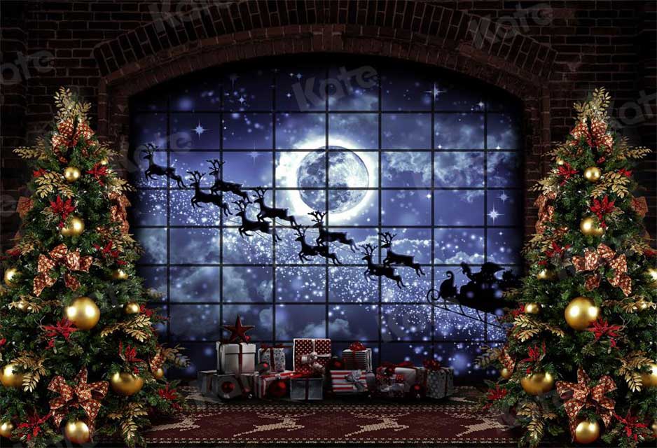 kate写真撮影のためのクリスマスの窓そりの背景エルク