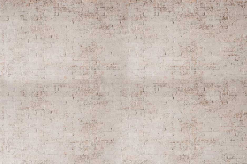 kate自由奔放に生きるレンガの壁の背景写真撮影のためのレトロ