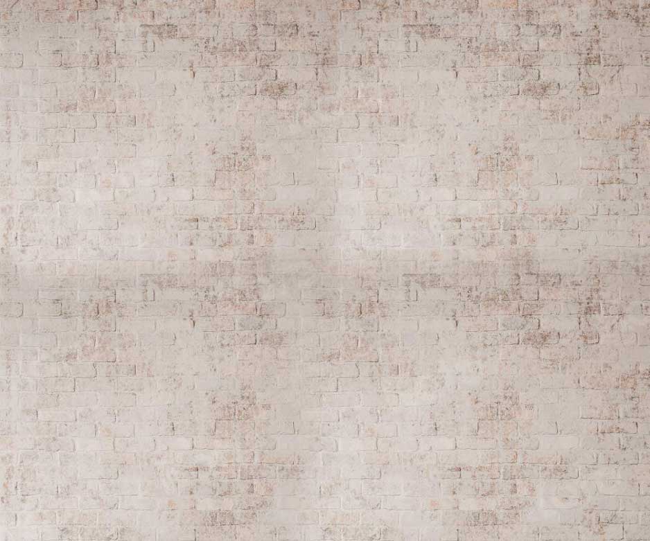 kate自由奔放に生きるレンガの壁の背景写真撮影のためのレトロ