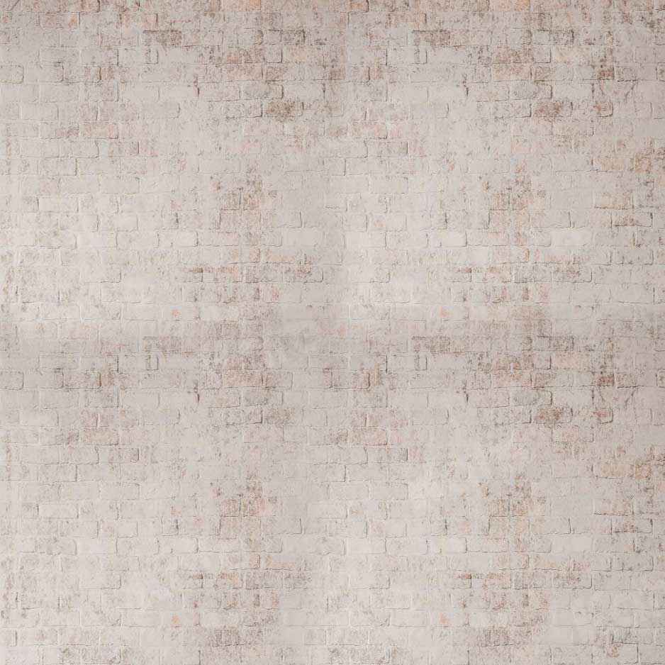 kate自由奔放に生きるレンガの壁の背景写真撮影のためのレトロ