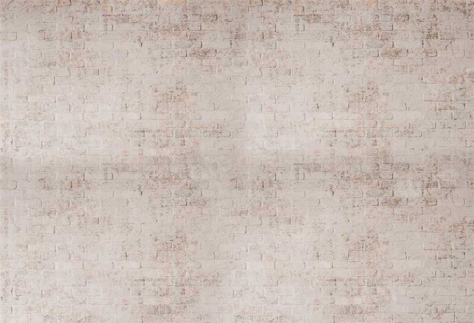 kate自由奔放に生きるレンガの壁の背景写真撮影のためのレトロ