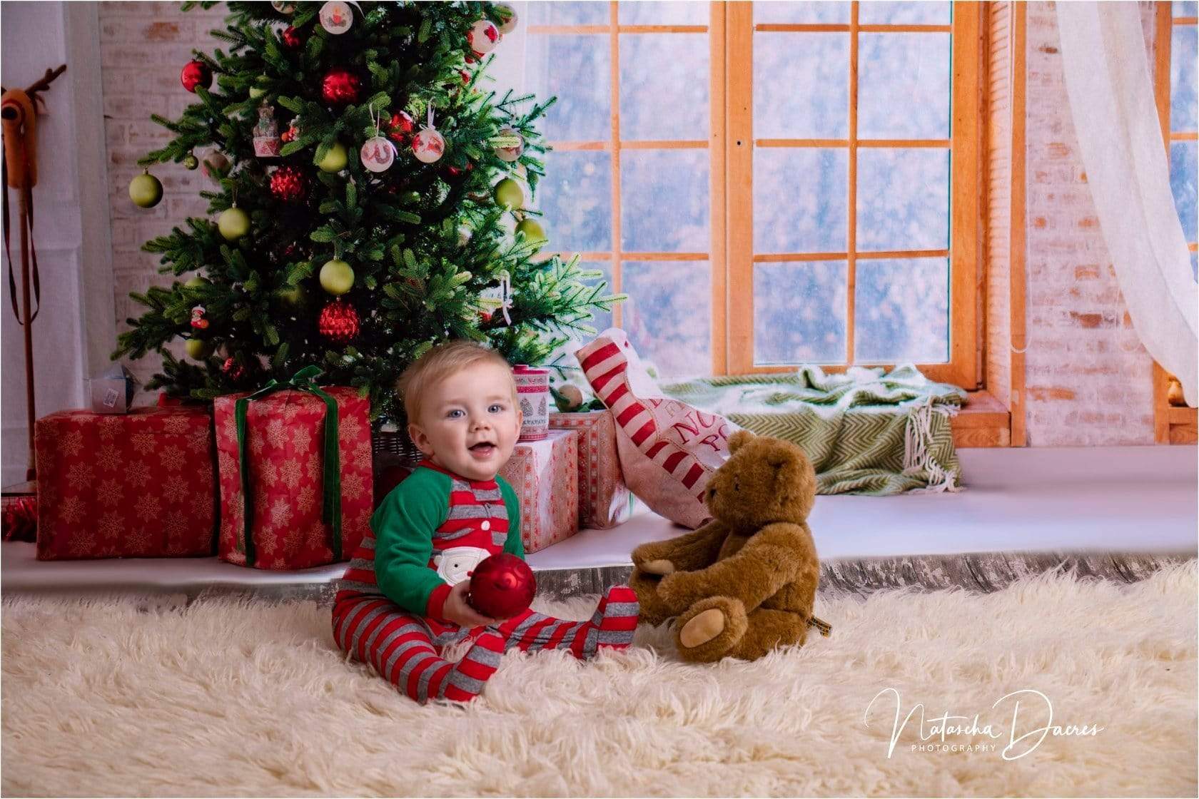 Kate クリスマスツリーウィンドウの写真撮影の背景