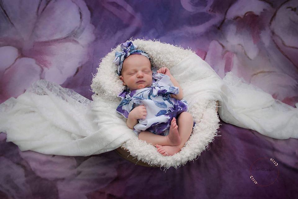 Kate 写真撮影のためのファインアート紫絵画花の背景