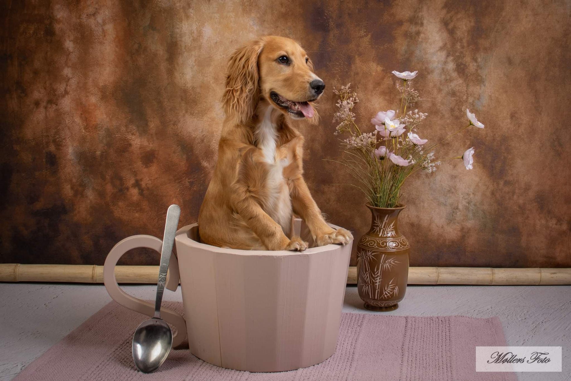 Kate 茶色の煙の抽象的な背景