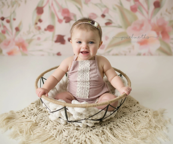 Kate 写真用のレッドベリーの花の背景