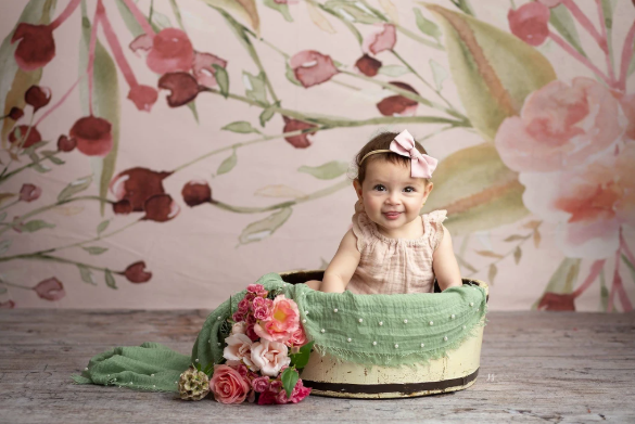 Kate 写真用のレッドベリーの花の背景