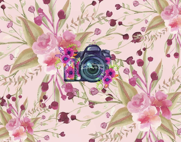 Kate 写真用のレッドベリーの花の背景