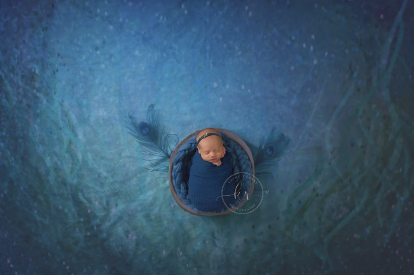 Kate 水中人魚のマントル背景