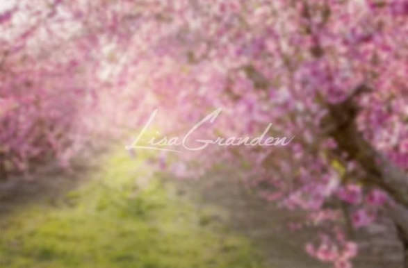 Kate 春のピンクの花の背景