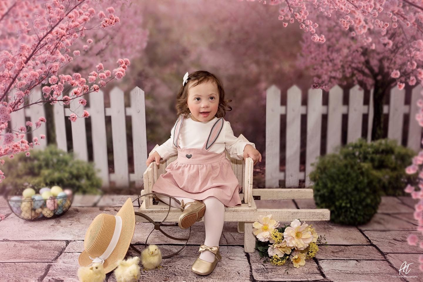 Kate 写真撮影のための春の庭の桜の背景