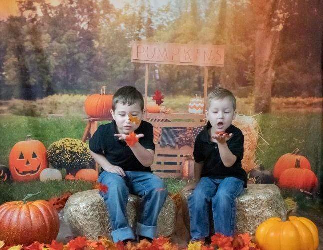 Kate パーティーカボチャ草原のハロウィーンの写真撮影の背景