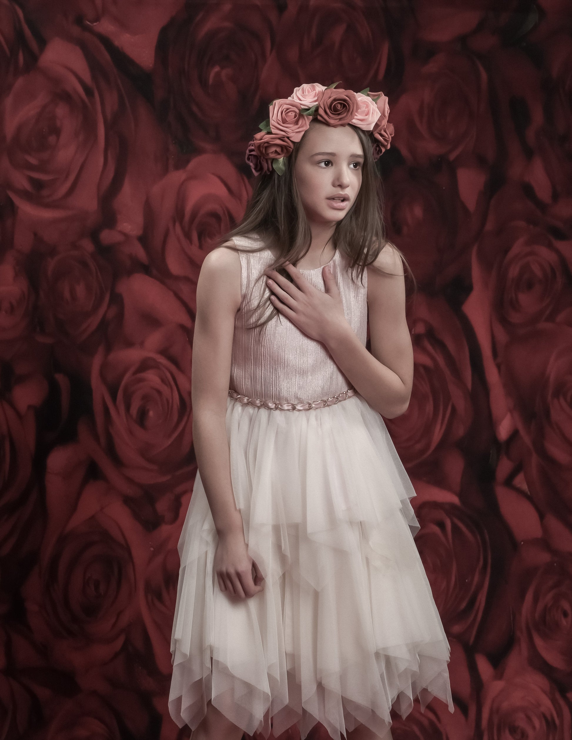 Kate赤いバラのバレンタインデーの花の写真の背景