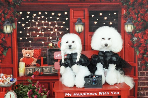 Kate バレンタインデーのバラショップの背景