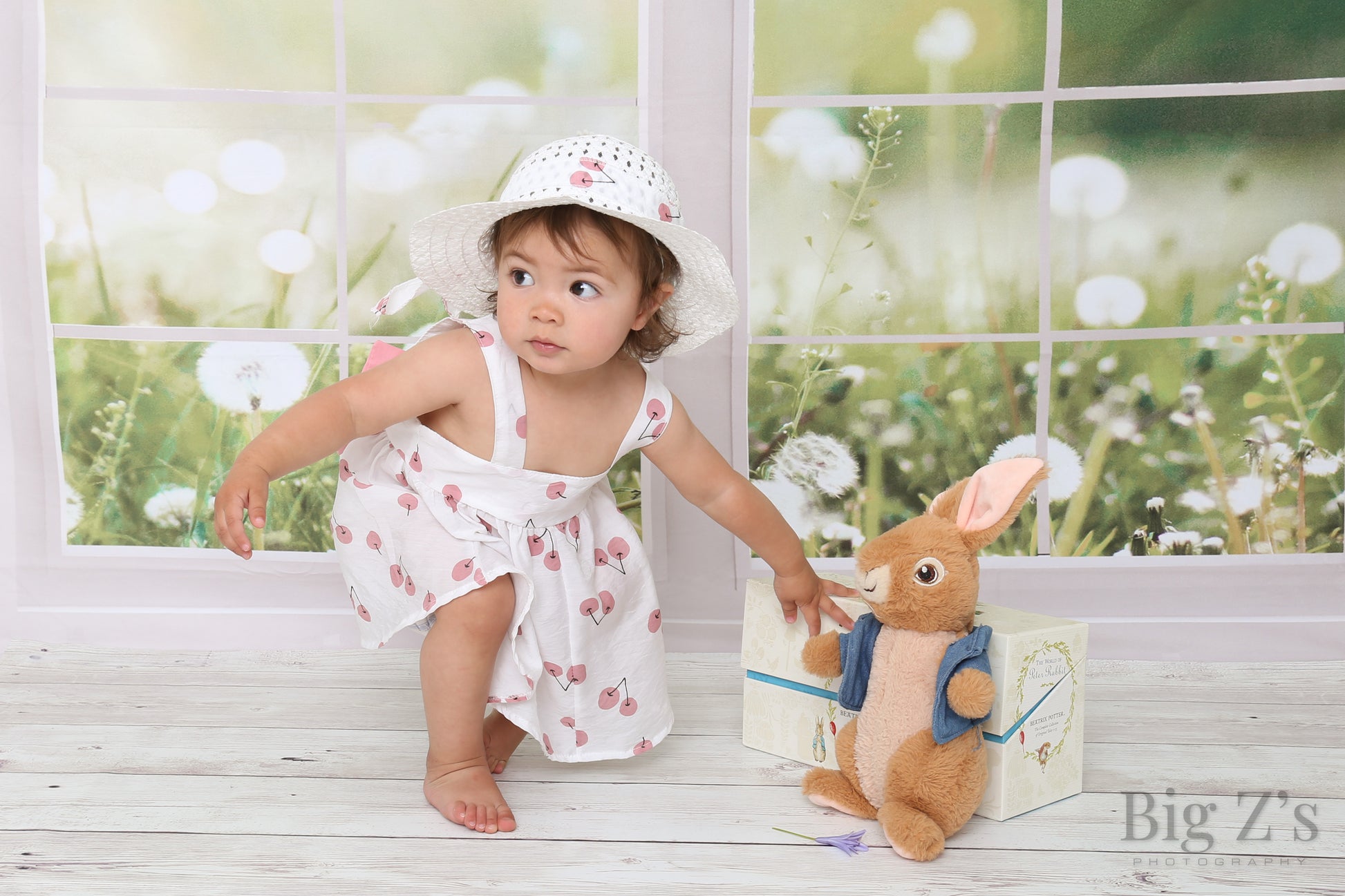 Kate 春の草の花 窓 背景